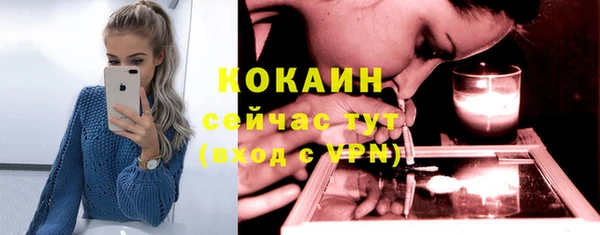 шишки Осинники