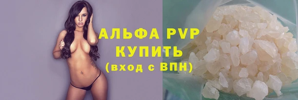 шишки Осинники