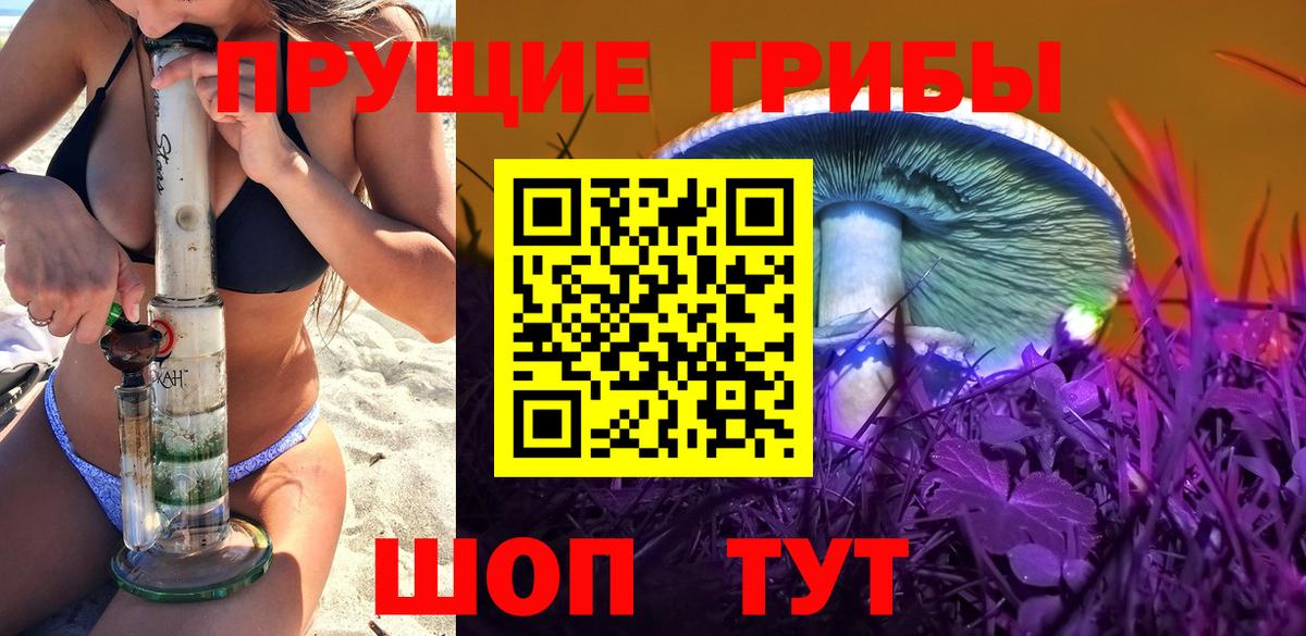 Галлюциногенные грибы Psilocybe  что такое   Галлюциногенные грибы Psilocybe  Изобильный 
