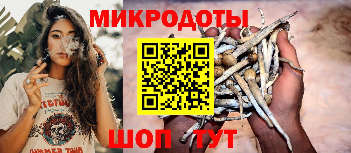 Галлюциногенные грибы Psilocybe Изобильный