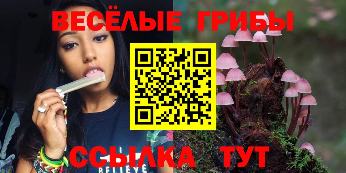 Псилоцибиновые грибы Cubensis  магазин продажи   Галлюциногенные грибы Magic Shrooms  Изобильный  Вход с VPN 
